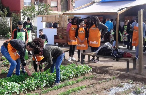Aprendiendo sobre la Huerta Valenciana 